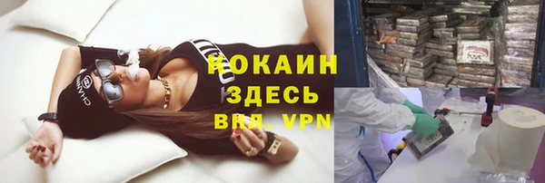 стафф Алзамай