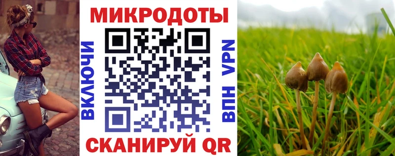 купить наркотики сайты  Аргун  Псилоцибиновые грибы Psilocybe 